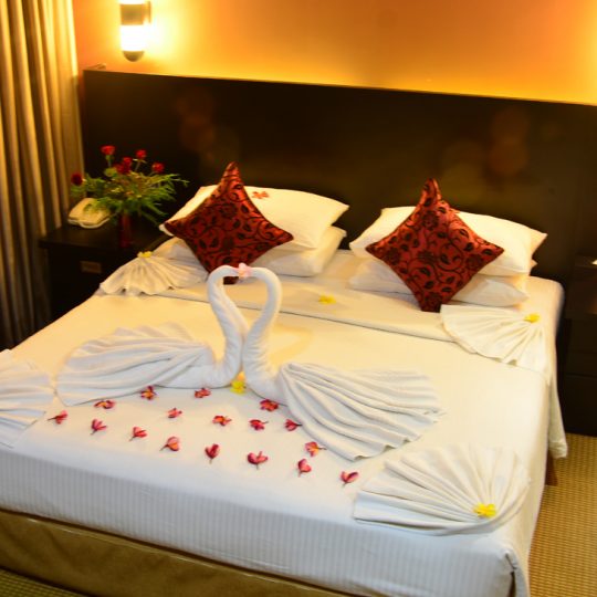 Luxury Hotel Bedroom Interior With Honeymoon Decoration Towel Swans And  Rose Flowers On The Bed Stock Photo - Download Image Now - iStock