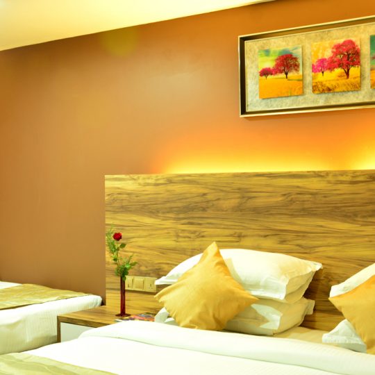https://pearlgrouphotels.com/wp-content/uploads/2016/07/best_hotel_in_srilanka_Triple-Room-1-540x540.jpg