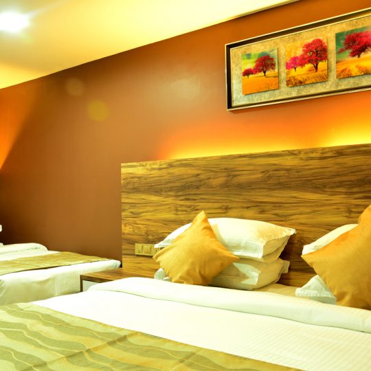 https://pearlgrouphotels.com/wp-content/uploads/2016/07/best_hotel_in_srilanka_Triple-Room-3-540x540.jpg