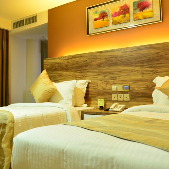 https://pearlgrouphotels.com/wp-content/uploads/2016/07/best_hotel_in_srilanka_Twin_Room_6-540x540.jpg